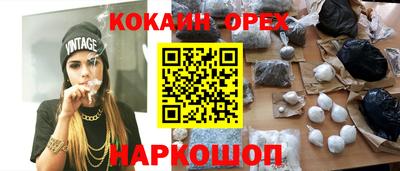 сатива Новозыбков