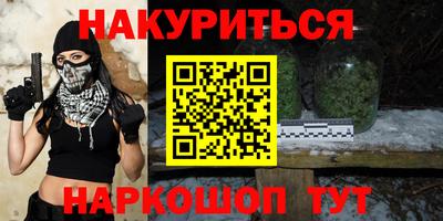 сатива Новозыбков