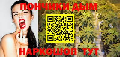 сатива Новозыбков