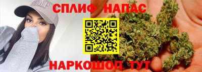 сатива Новозыбков
