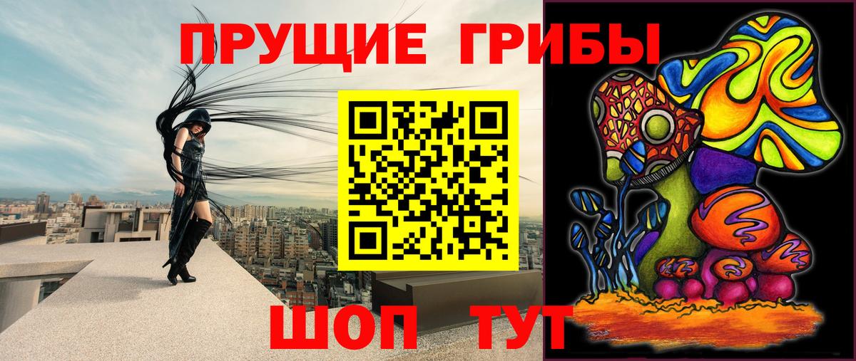 цены наркотик  Псилоцибиновые грибы прущие грибы  Галлюциногенные грибы Cubensis  Вход с VPN  Хасавюрт 