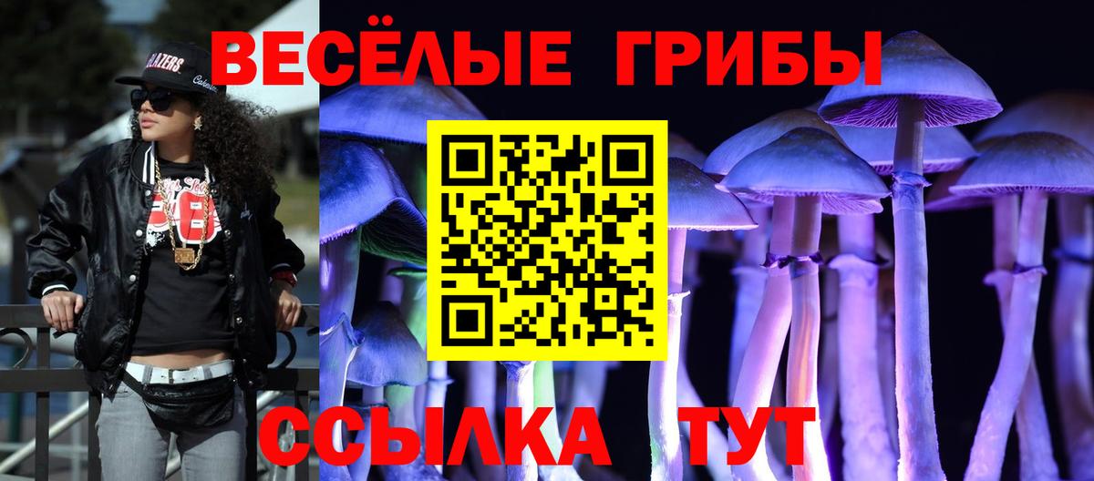 Псилоцибиновые грибы ЛСД Хасавюрт